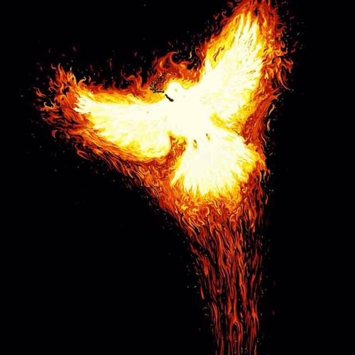 AdvantageClan's profile picture. Pro #CoD player and proud player of the competetive community!