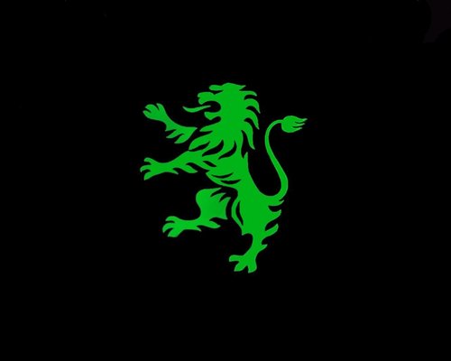 the_nuno_duarte's profile picture. Quepasa?