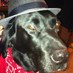 Thomas A Brown (@reallythistoo) Twitter profile photo