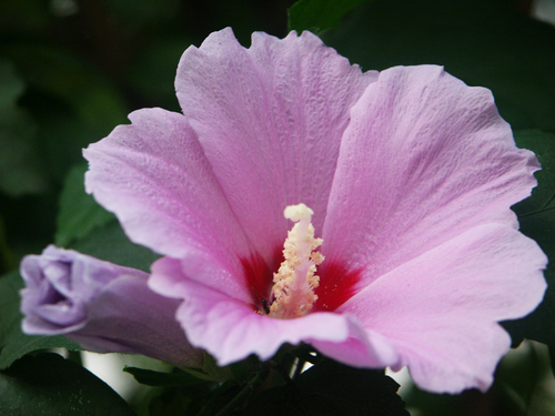 kjbumbum's profile picture. 