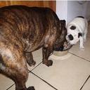 Brock Teddy - @BrockTeddy - Twitter