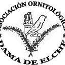 Floren Martínez - @aviariovegacox - Twitter