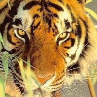 arturodetexas (@arturodetexas) 's Twitter Profile Photo arturodetexas (@arturodetexas) 's Twitter Profile Photo