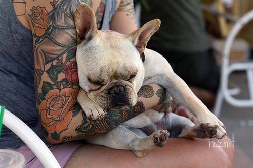 del_misto's profile picture. Прикольные афоризмы и цитаты,а также интересные факты,только лучшее с рунета.