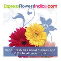When you feel your words are not sufficient to express yourself, flowers come forward to rescue you.