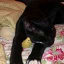 Becky Chaplin - @RebeccaHelenC - Twitter