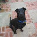 Tom Nelson - @tomynelson - Twitter