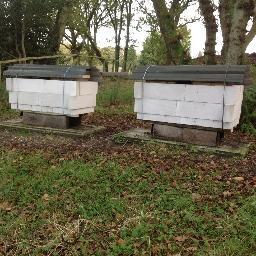The home of the Zest Hive designed by Bill Summers. Healthy,Happy,Productive Bees. A modern and innovative new design of the bee hive. Tweets by @Dave_Durrant