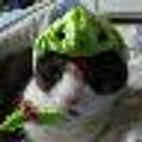 KazusukeTM (@yinhe_kazu) Twitter profile photo