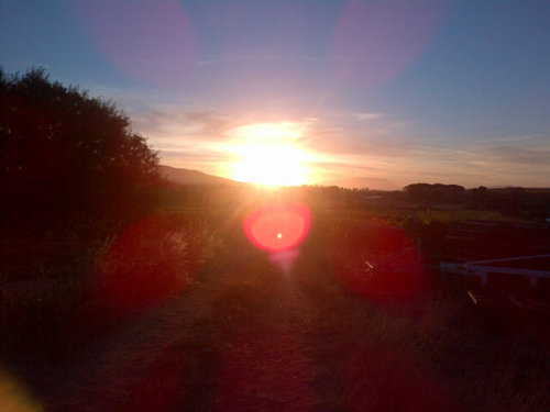 100bieberliciou's profile picture. pop that shit yall