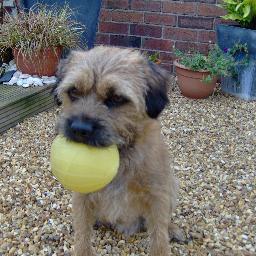 Love - My Husband (Stoke supporter!), Family, Gyp My Border Terrier #BTPosse Liverpool Football Club #JFT96 Caravanning, Dubs #SlimmingWorld Life in general