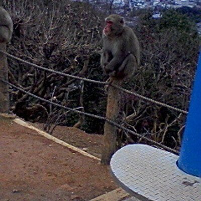 綱島志郎 勇者宇宙ソーグレーダー 2巻 直筆イラスト入りサイン本 51HVLDB8-pL._AC_SY200_QL15_.jpg