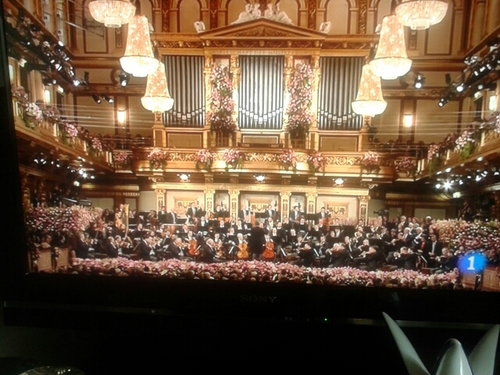 bierzofefesa's profile picture. Paz, Cultura, Coherencia, Honestidad