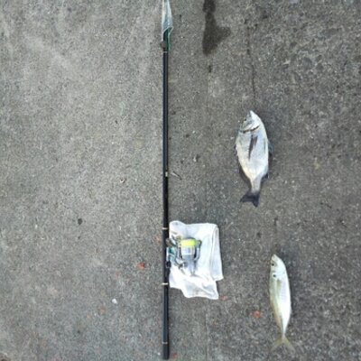 ライトカゴ釣り師 Su Twitter ライトカゴのウキ作らなヤバい