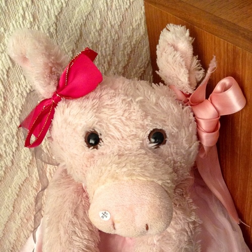 PenelopeCeleste's profile picture. I love: the colour pink, The Queen, @ParisHilton, my bezzie mates, The Chase (especially Anne Hegerty), Bristol Rovers and more! Talk me?  #ofza Penny xoxo