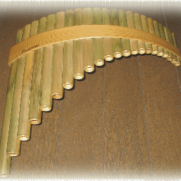 kasai2008's profile picture. 𓁉西野家じゃなくなかったんだ