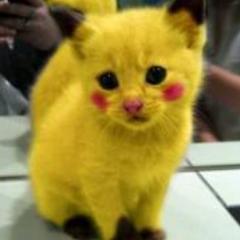 Follow me ! :3
