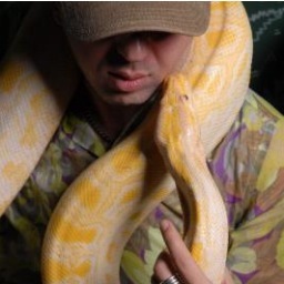 sufiy77's profile picture. 