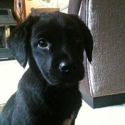 I'm a sharp dude, I hang out in bars but love the open air and countryside, always looking for someone new to chew on.