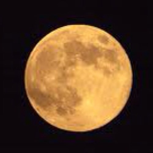 philia_kiel's profile picture. 気付けばコンサル8年目 サッカー/ビール/サスペンスドラマ