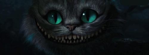 annacarolina719's profile picture. 