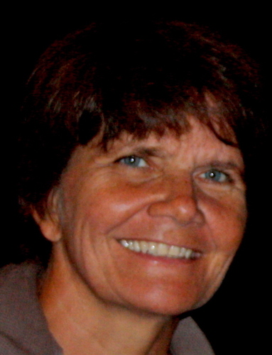 N_Marangoni's profile picture. 