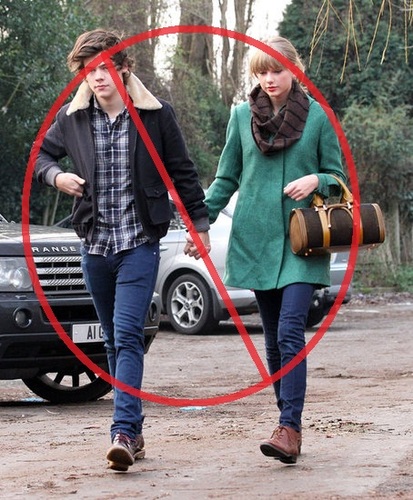 We hate Taylor because she's boyfriend is Harry Styles