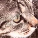 Marvin Manley  - @MarvinTopCat - Twitter