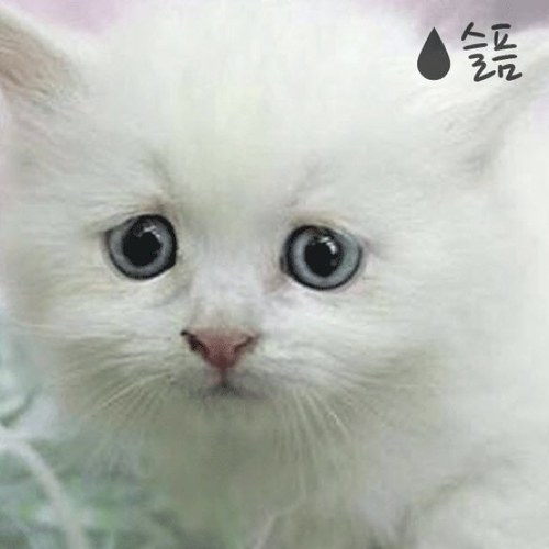 삶이 행복해질때.