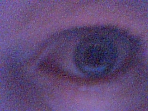 ButterflyAus's profile picture. 