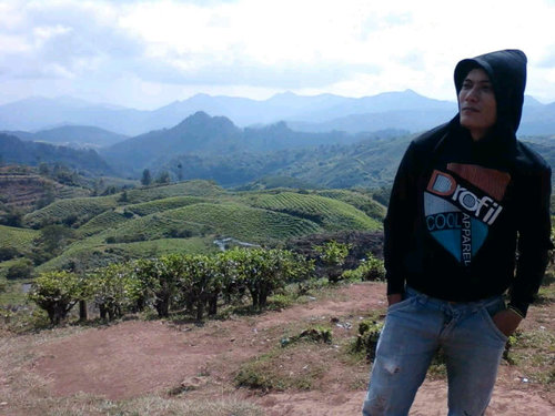 Tree_acconk's profile picture. 