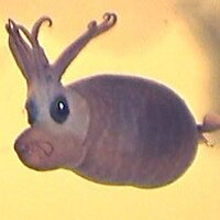 SERPENT Project (@serpentproject) 's Twitter Profile Photo