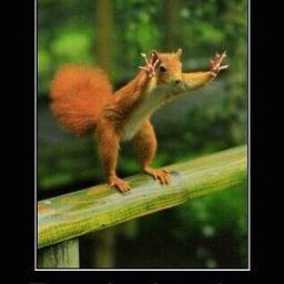 mb13ie1's profile picture. 