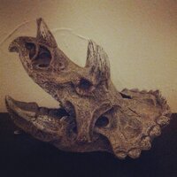 Kevin (@kevincakes) 's Twitter Profile