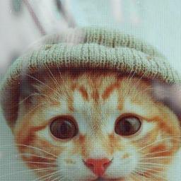 esipov_123's profile picture. The ordinary person, I go to school, I do homework, BOREDOM