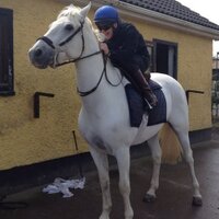 Gary Carroll (@garyfcarroll) 's Twitter Profile