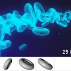 deberuhaber's profile picture. Weight Watchers Annual Recipes For Success 2005