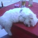 deb curley - @debcurley64 - Twitter