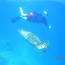 Bernie Doyle - @SalesNerdSkill - Twitter