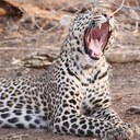 Jason Force - @Jay_Force_ - Twitter