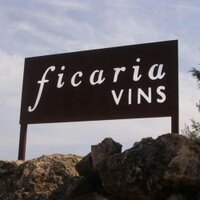 ficaria_vins (@ficariavins) 's Twitter Profile Photo