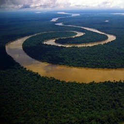 monicavelarde's profile picture. President Hope of the Amazon Civil Association. Director T-Consult. Associate London School of Economics Multimedia Lab Institute Social Psychology