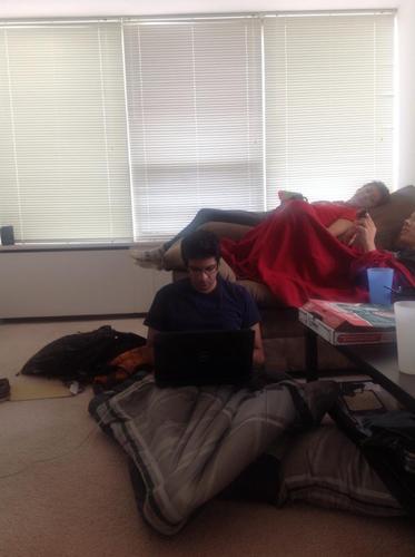 S_T_A_R_P_O_N_Y's profile picture. Formally known as Arpan, I am a star, the King of all the ponies.