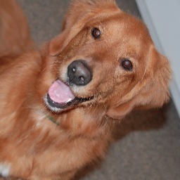 GrampaMac4's profile picture. Full time husband, dad & grandpa. 
St. Bonaventure Graduate