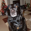 JOANNE BAXTER - @jbaxter991 - Twitter