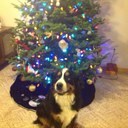 Jo Bartholomew - @nursejody714 - Twitter