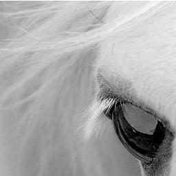 Tony8821's profile picture. 