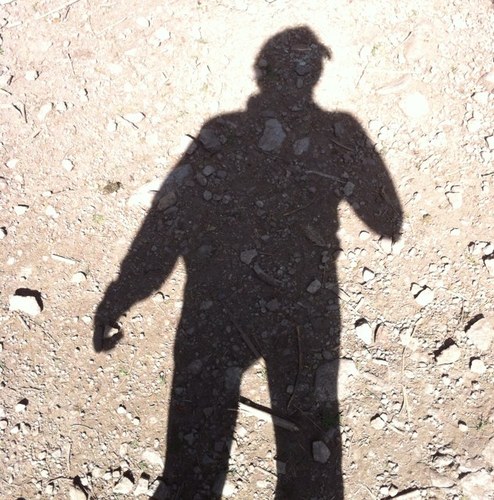 [La soledad voluntaria es un lujo de príncipe, el hombre vulgar desconoce su valor...]