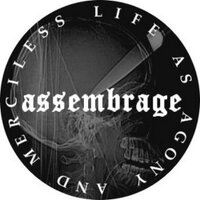 assembrage99(@assembrage036) 's Twitter Profile Photo