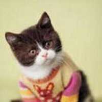 Максим Семенов (@mattrenut) 's Twitter Profile